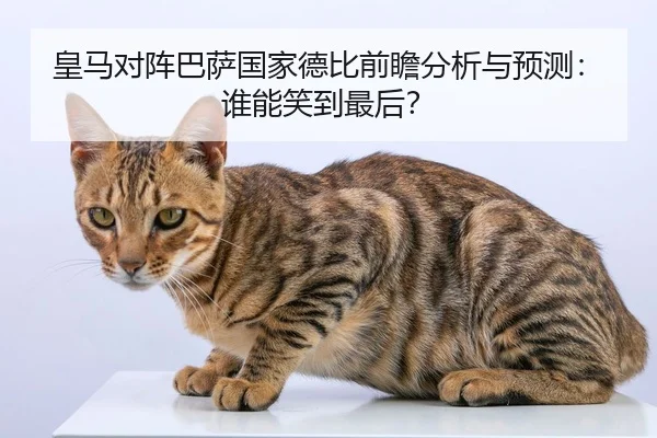 皇马对阵巴萨国家德比前瞻分析与预测：谁能笑到最后？